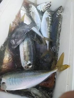 image3_5.jpeg