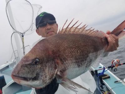 IMG_27042020_104820_640_x_480__2.jpg
