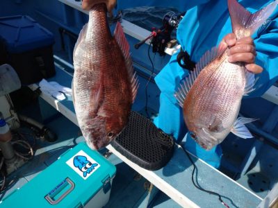 image3_11.jpeg