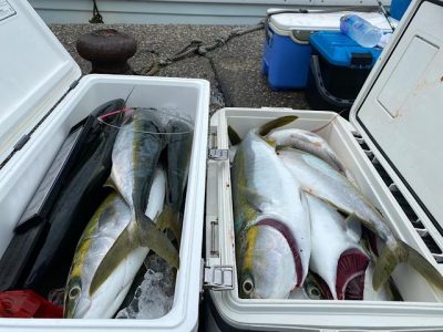 image1_27.jpeg