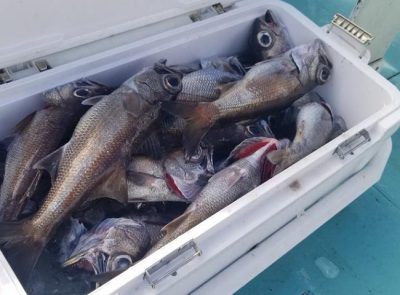 IMG_22012021_125605_650_x_480_.jpg