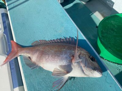 image1_12.jpeg