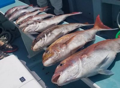 IMG_03062022_121149_650_x_480_.jpg