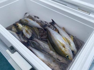 image1_20.jpeg