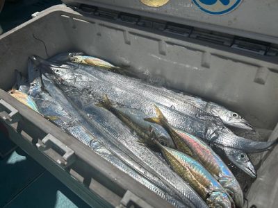 image1_23.jpeg