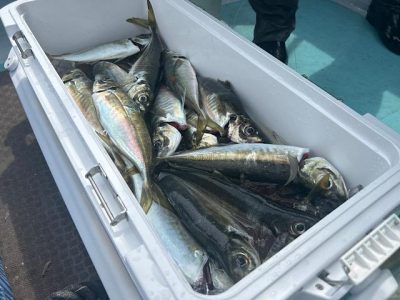 image1_24.jpeg