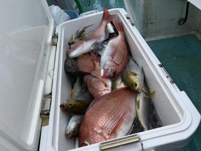 image1_75.jpeg