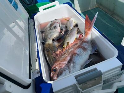 image1_24.jpeg