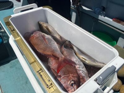 image1_32.jpeg