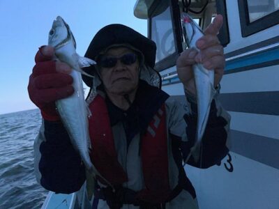 image1_42.jpeg