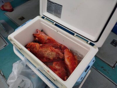 image1_73.jpeg