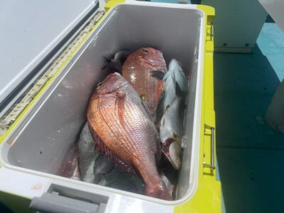 image3_44.jpeg