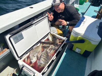 image4_34.jpeg