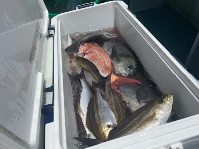 image5_24.jpeg