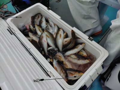 image1_23.jpeg