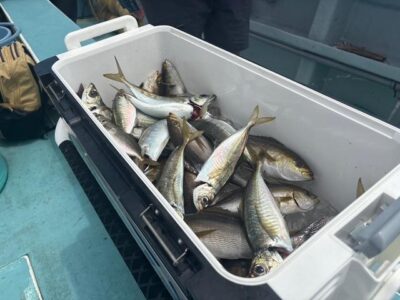 image1_32.jpeg
