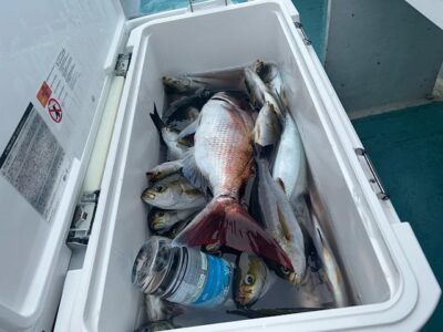 image3_41.jpeg