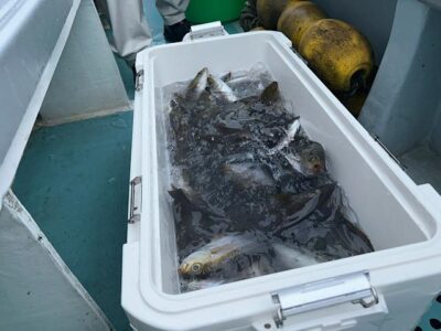 image5_24.jpeg