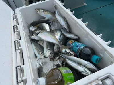 image1_46.jpeg