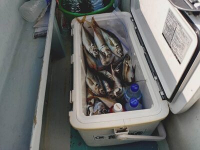 image1_64.jpeg