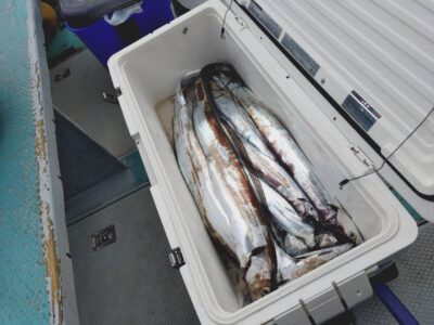 image1_103.jpeg