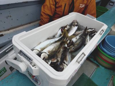image1_41.jpeg