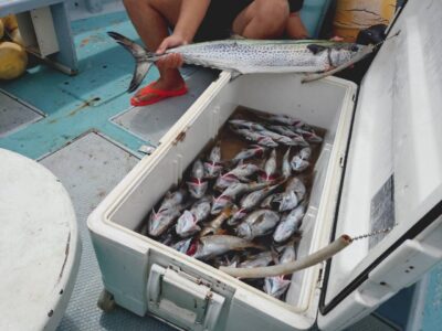 image1_47.jpeg