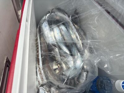 image1_85.jpeg