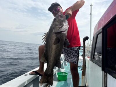 image1_86.jpeg
