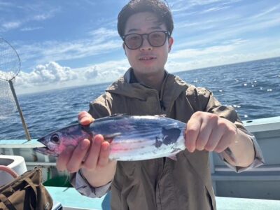 image3_43.jpeg