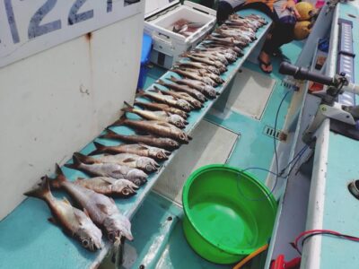 image4_30.jpeg