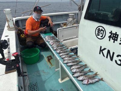image4_56.jpeg