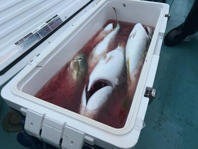 image3_61.jpeg