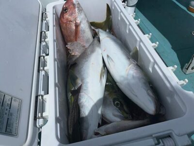 image6_23.jpeg