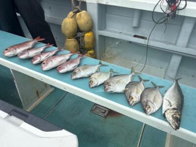 image7_21.jpeg