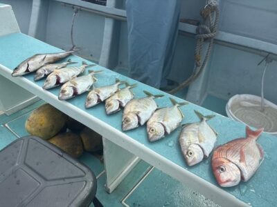 image9_13.jpeg