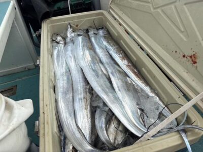image1_24.jpeg