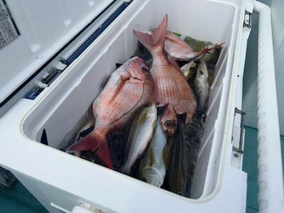 image1_36.jpeg