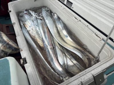 image3_14.jpeg