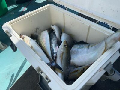 image7_14.jpeg