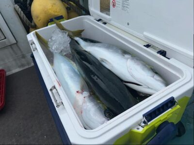 image7_20.jpeg